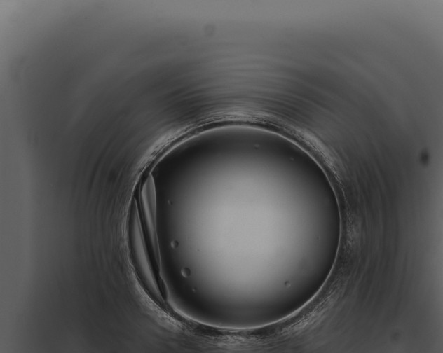 X0000097970938200804011717