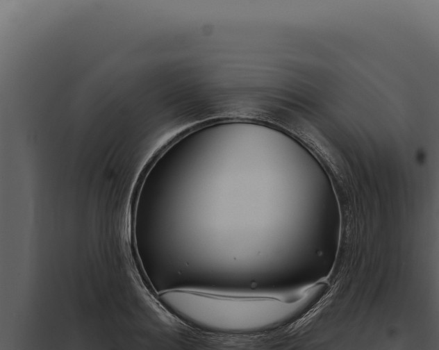 X0000097970940200804011717