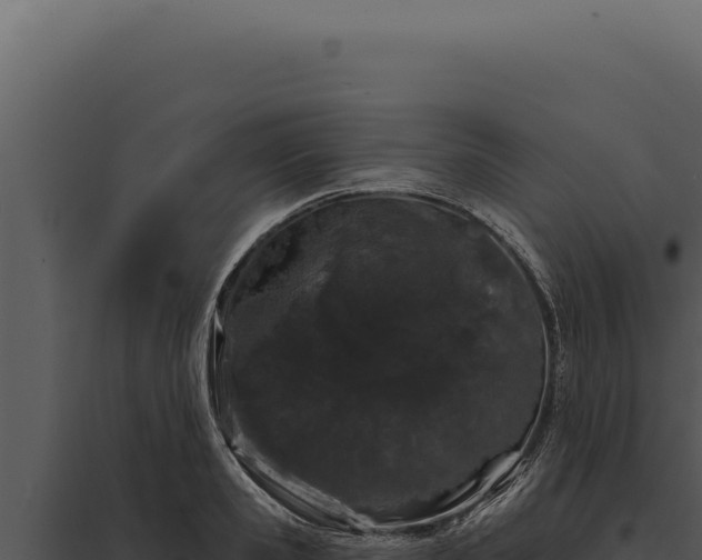 X0000097970941200804011717