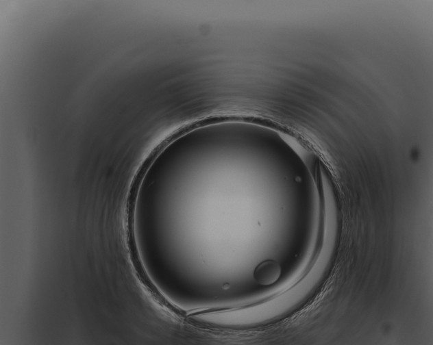 X0000097970942200804011717