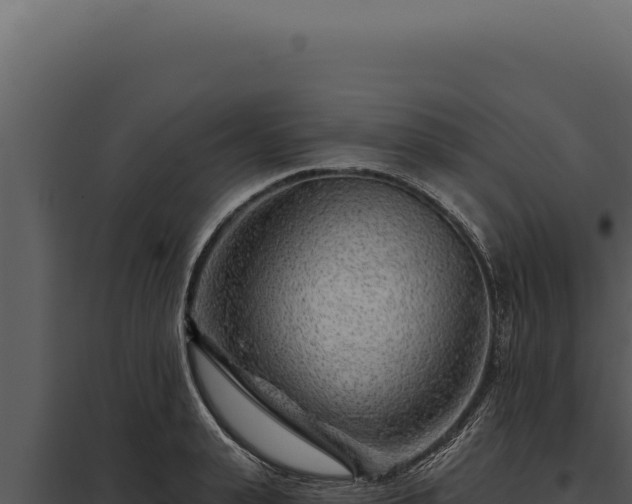 X0000097970943200804011717