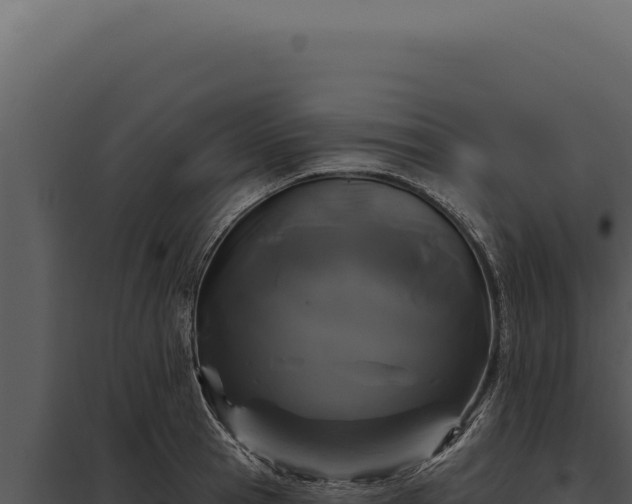 X0000097970945200804011717