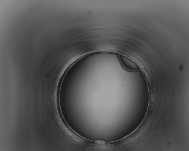 X0000097970947200804011717