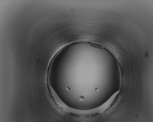 X0000097970948200804011717