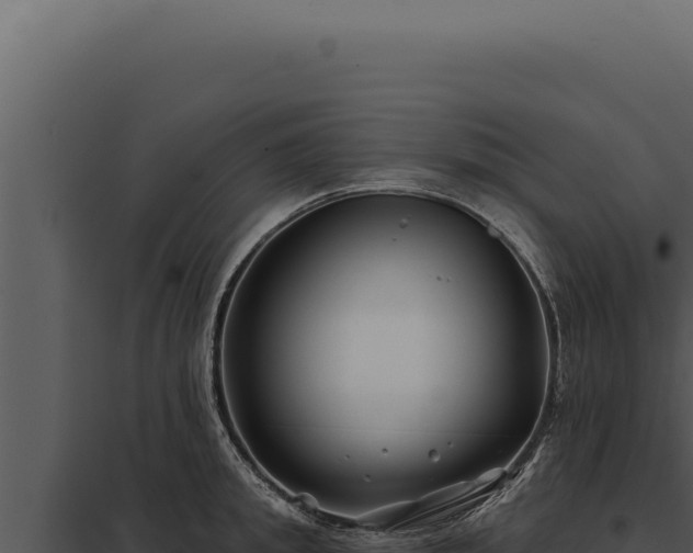 X0000097970949200804011717