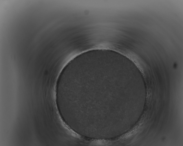 X0000097970950200804011717