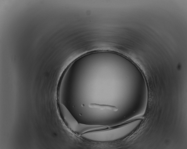 X0000097970951200804011717