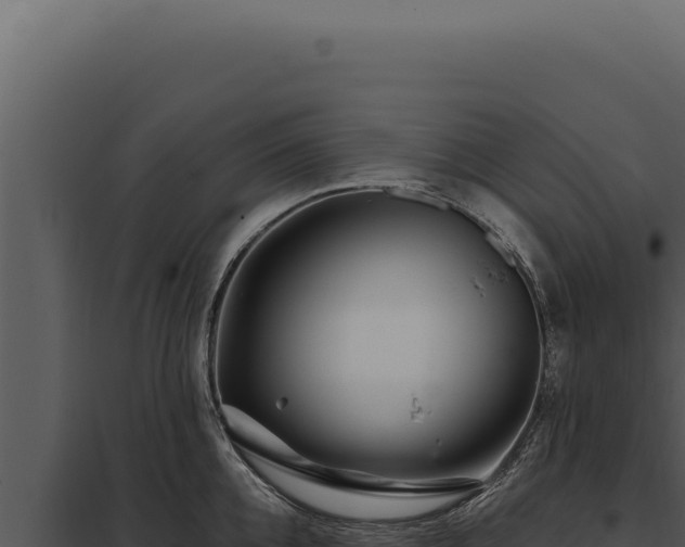 X0000097970952200804011717