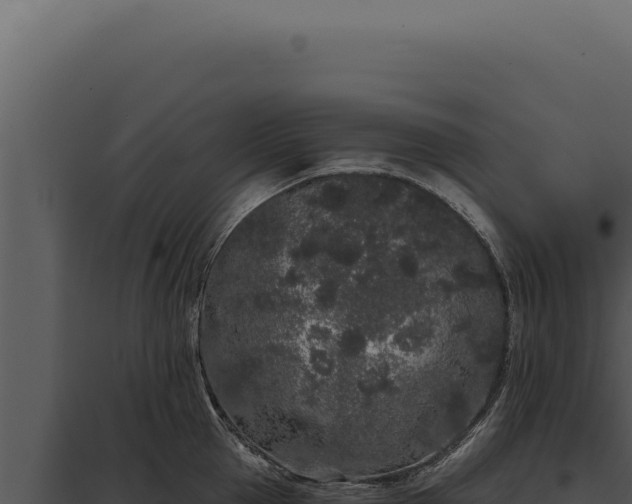 X0000097970953200804011717