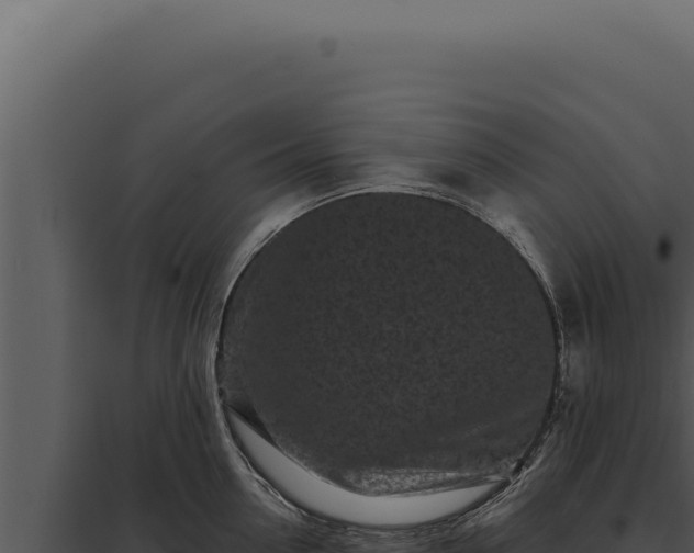 X0000097970954200804011717