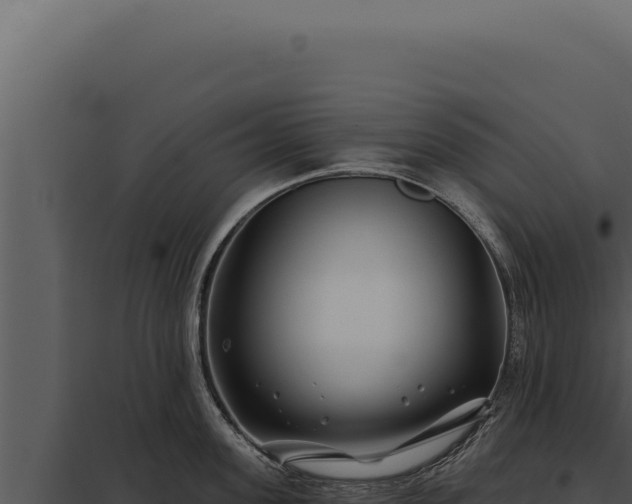 X0000097970955200804011717