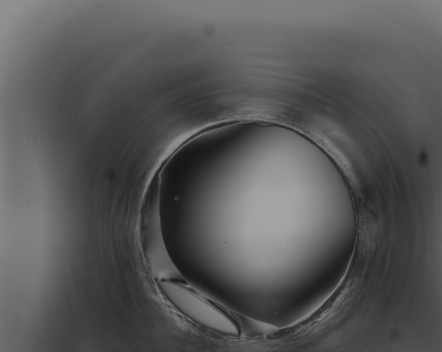 X0000097970956200804011717