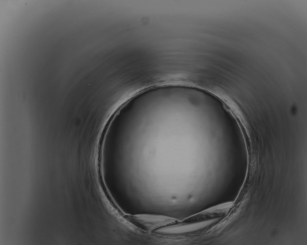 X0000097970957200804011717