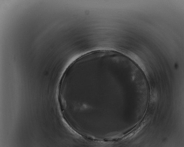 X0000097970958200804011717