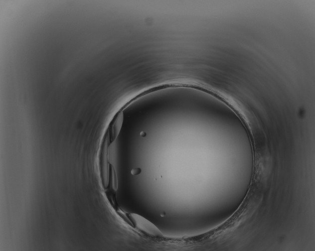 X0000097970959200804011717