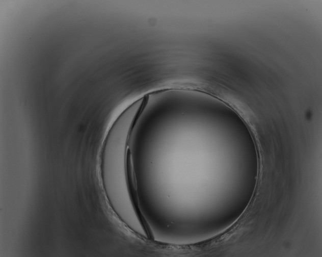 X0000097970960200804011717