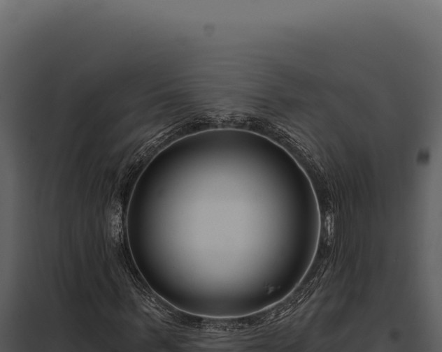 X0000097970963200804011717