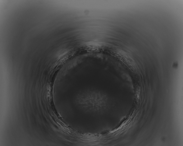 X0000097970964200804011717