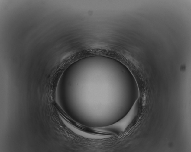 X0000097970965200804011716