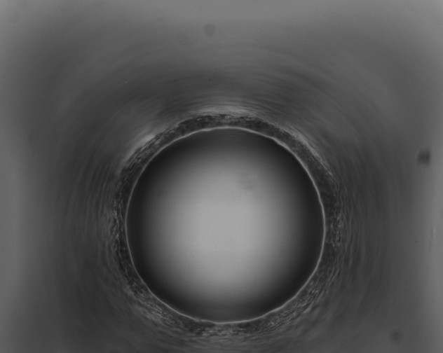 X0000097970967200804011716