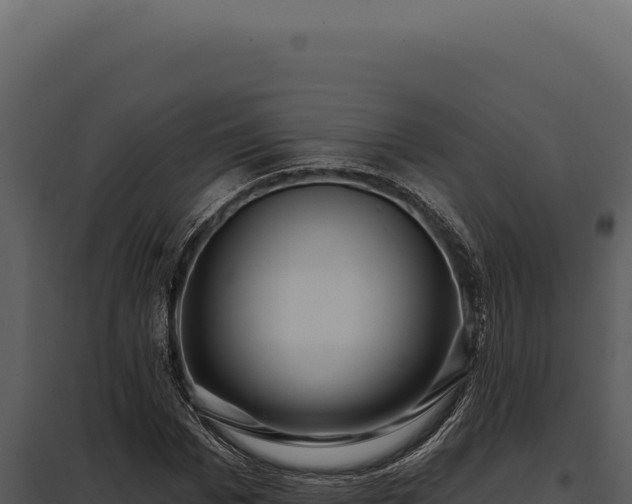 X0000097970969200804011716