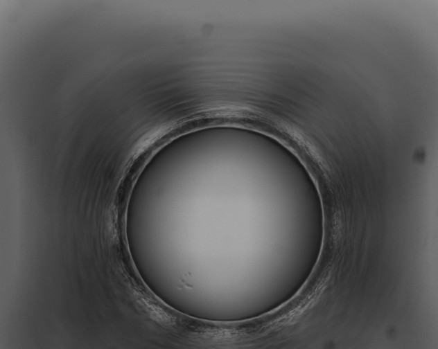 X0000097970970200804011716
