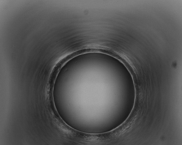 X0000097970971200804011716