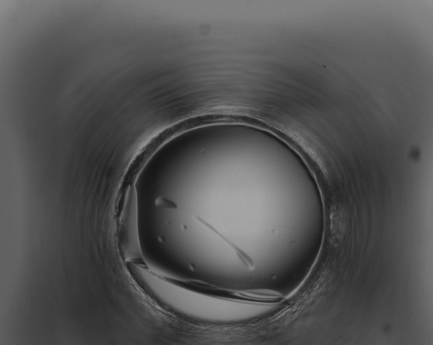 X0000097970972200804011716