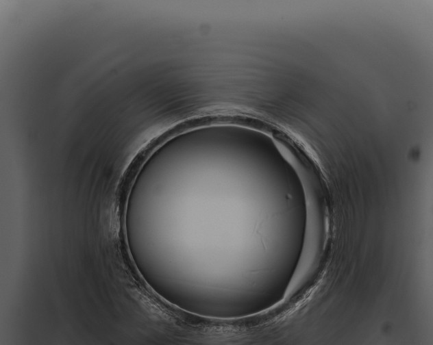 X0000097970973200804011716