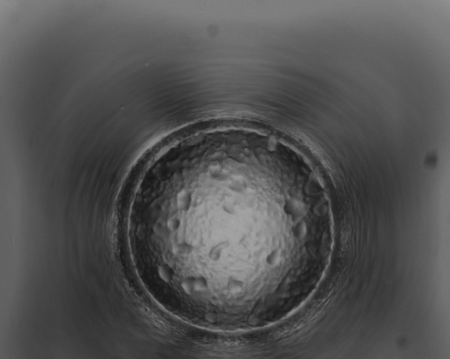 X0000097970975200804011716