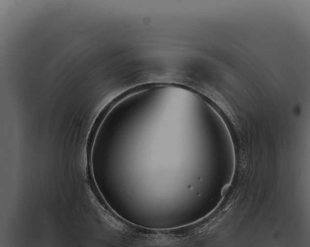 X0000097970980200804011716