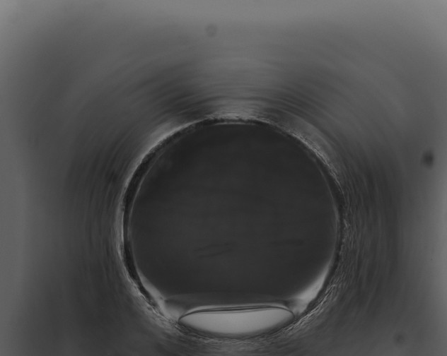 X0000097970984200804011716
