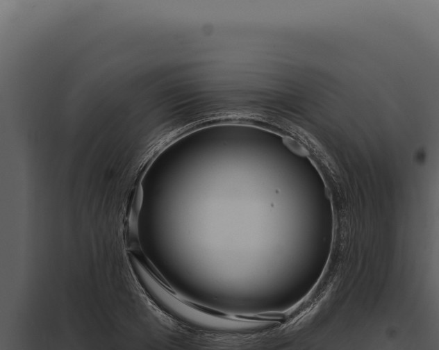 X0000097970985200804011716