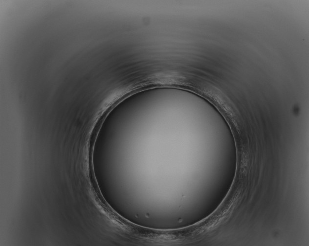 X0000097970986200804011716