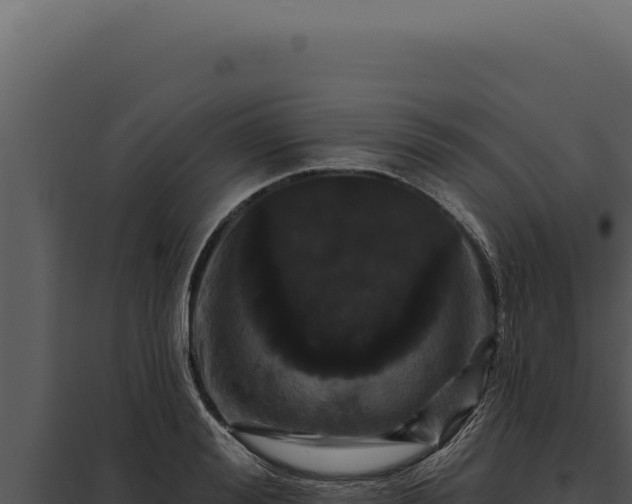 X0000097970988200804011716