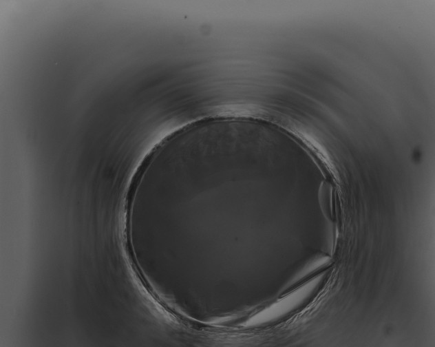 X0000097970992200804011716