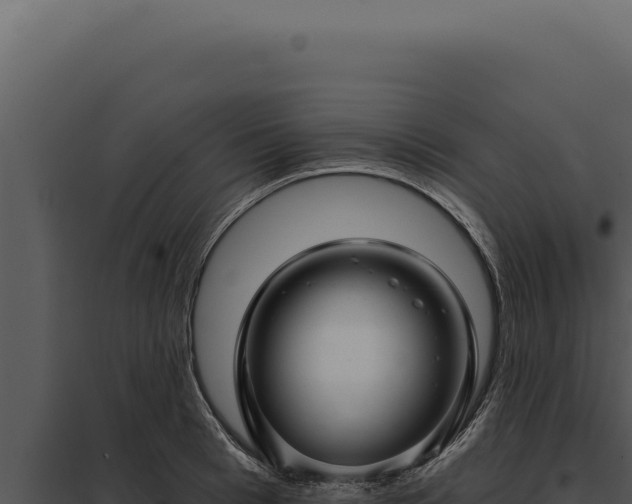 X0000097970993200804011716