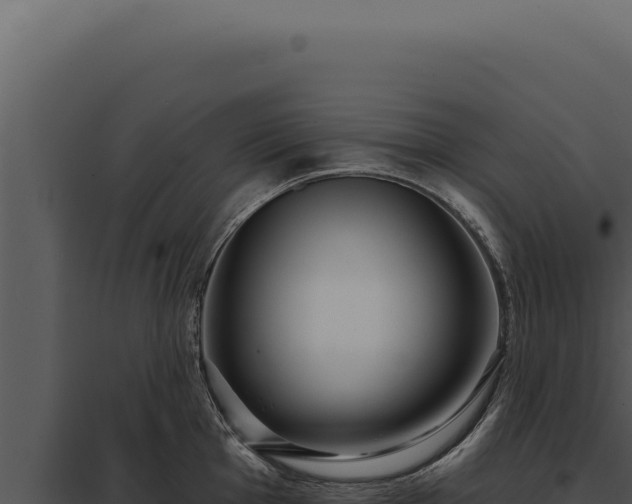 X0000097971001200804011716