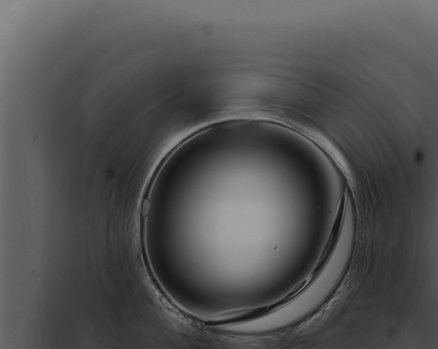 X0000097971004200804011716