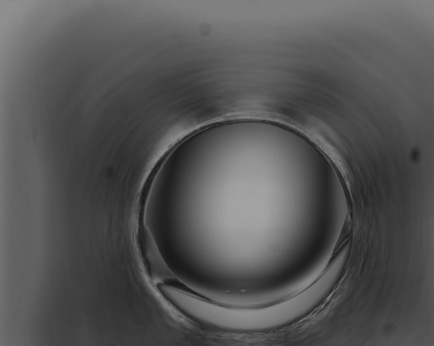 X0000097971005200804011716