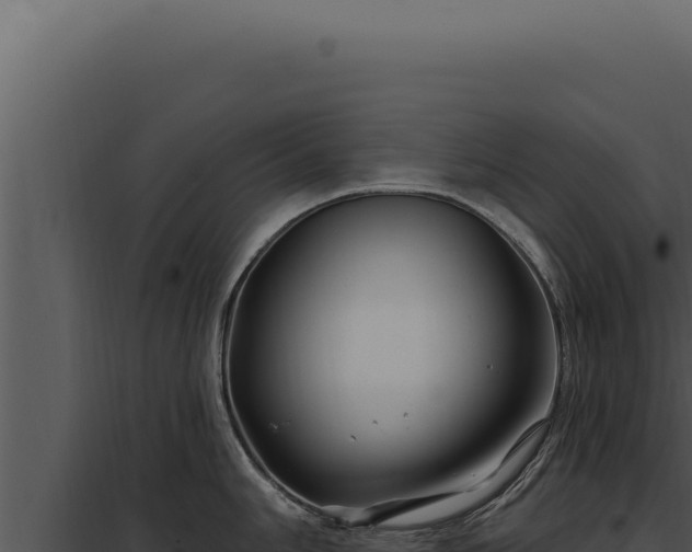 X0000097971006200804011716