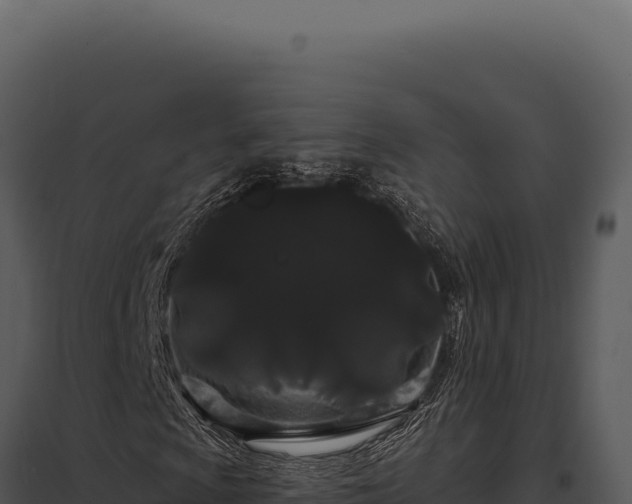 X0000097971009200804011715