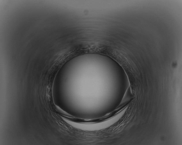 X0000097971010200804011715