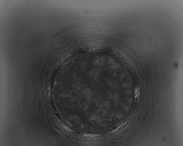 X0000097971011200804011715