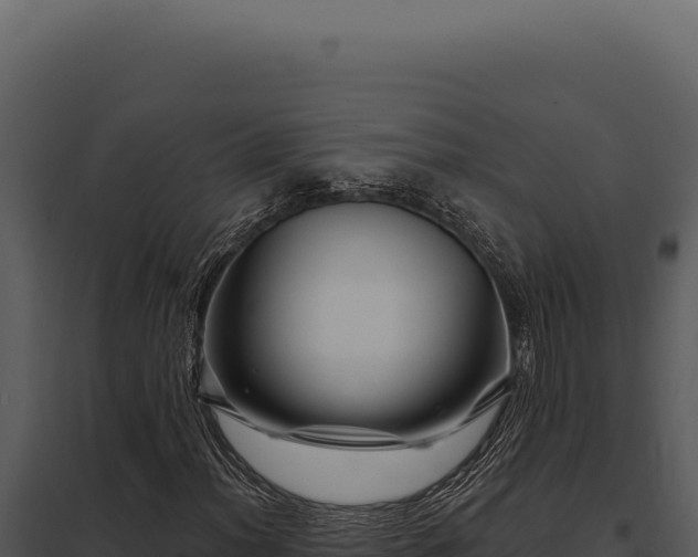 X0000097971012200804011715