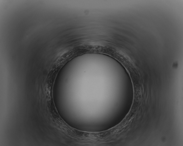 X0000097971013200804011715