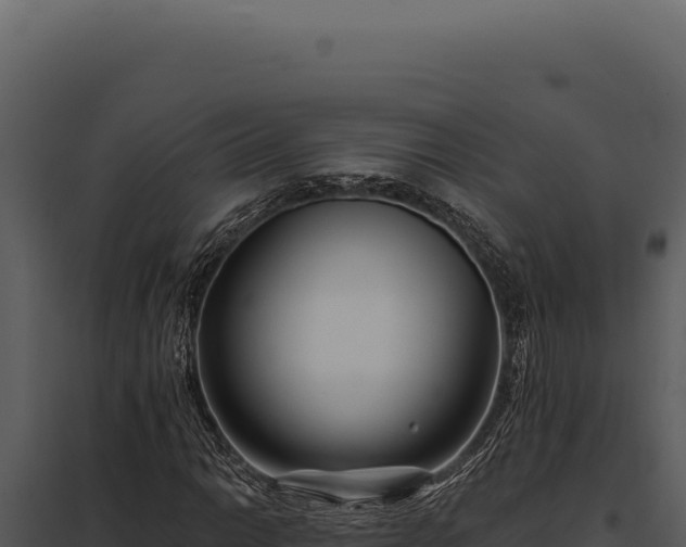 X0000097971014200804011715