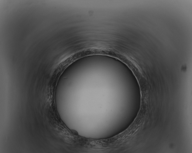 X0000097971015200804011715