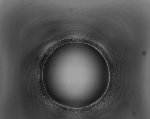 X0000097971016200804011715