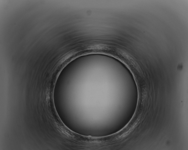 X0000097971017200804011715